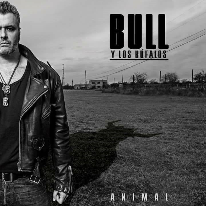 Bull y los Búfalos Animal CD